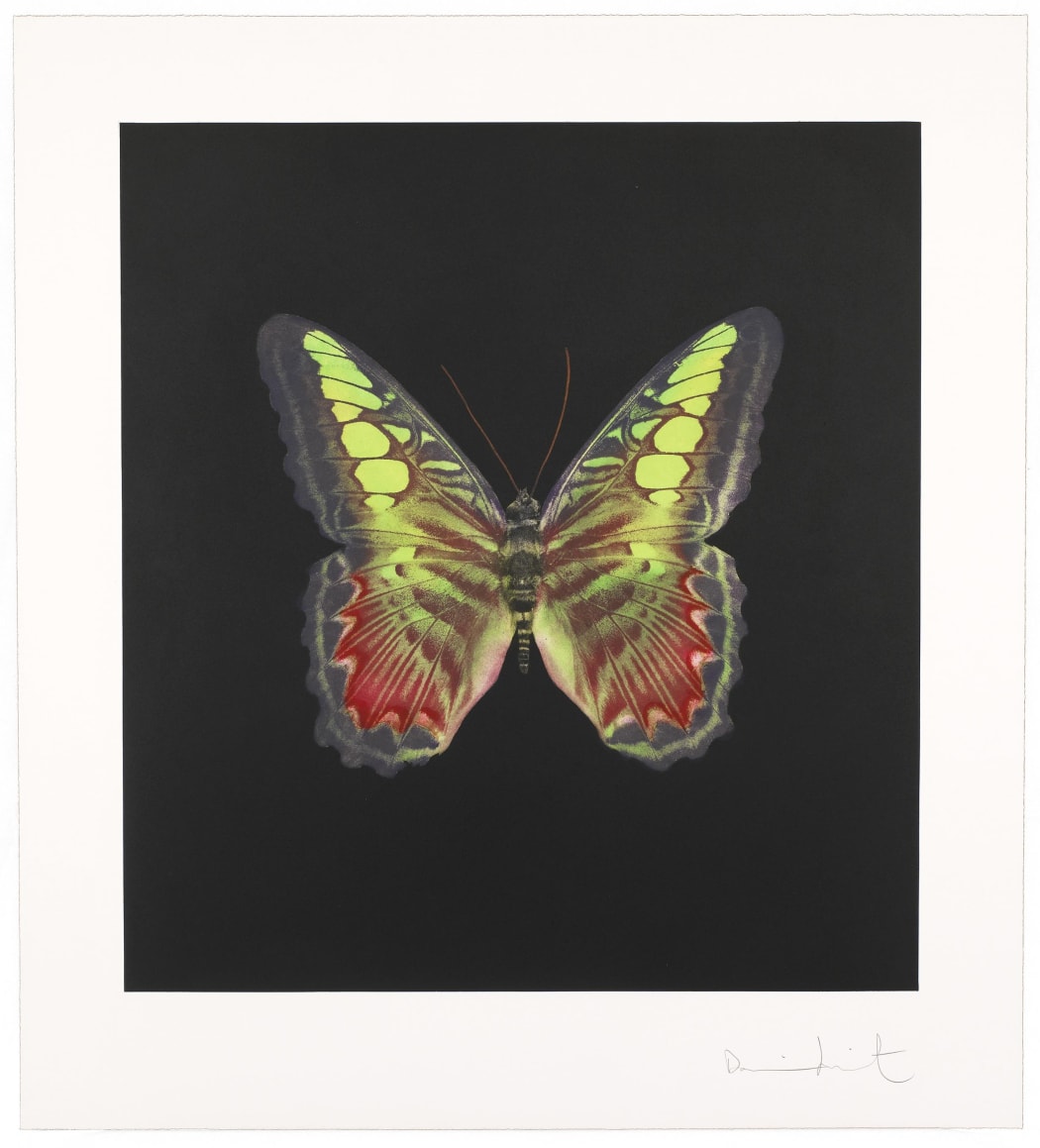 Damien Hirst print for sale