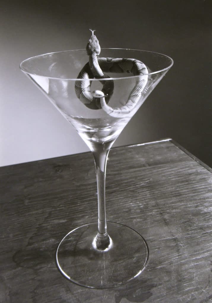 New Visions-Part 1: Still Life Photography
