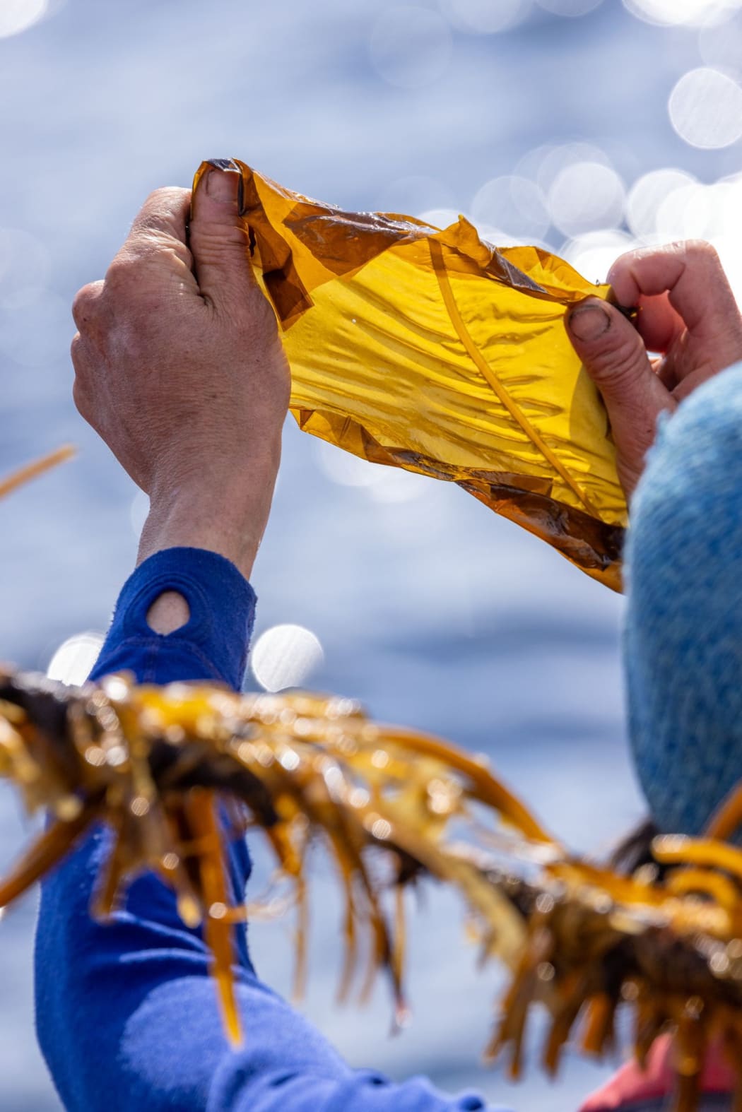 Art For Your Oceans, research trip to the Isle of Skye, 2024