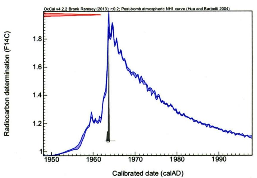 Post-bomb calibration curve (blue) and interval of calibrated dates (grey peak). Radiocarbon date: post 1954. Calibrated dates: 1963-1964 (95,4 % probability).
