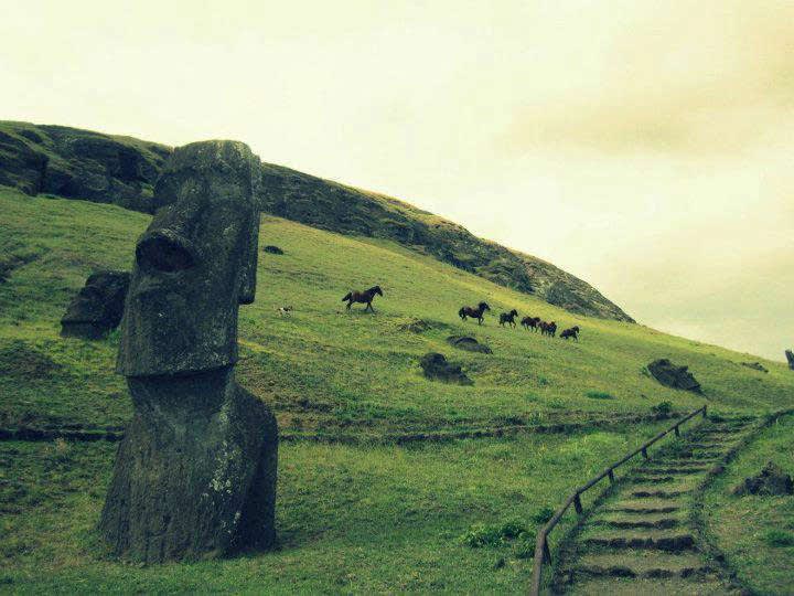 What Happened On Easter Island ?