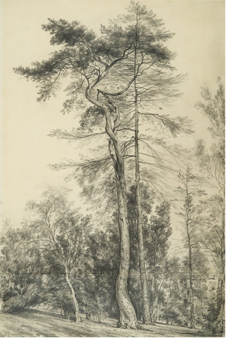 John Constable, Fir Trees at Hampstead, pencil