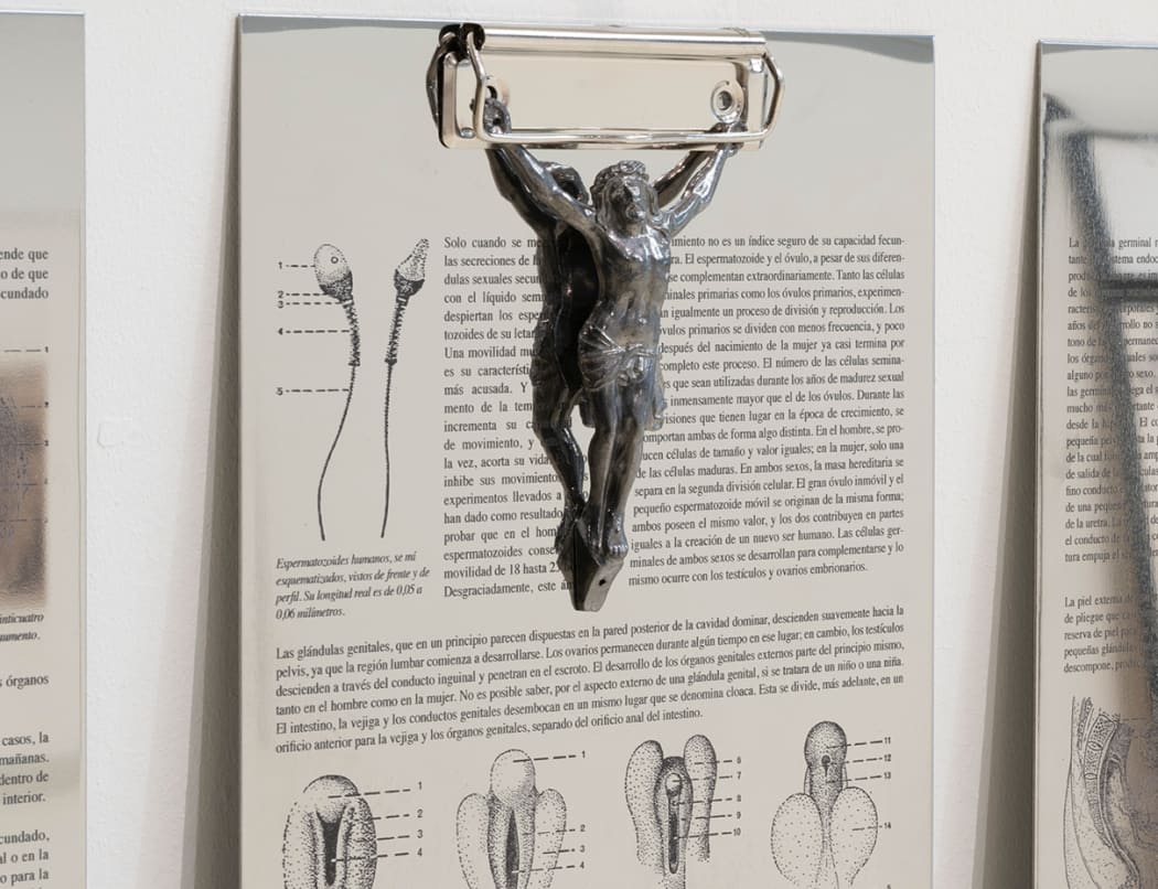 Daniel Gasol. Resumen de una vida sexual sana, 2024 - 2025. Foto de Roberto Ruiz.