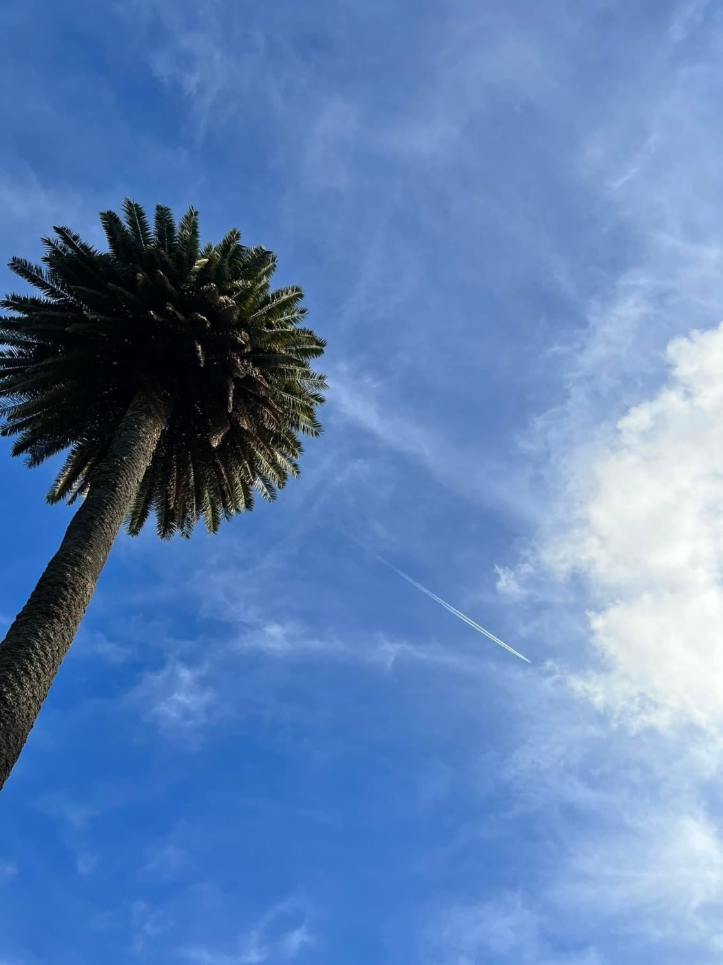 Sky and World
