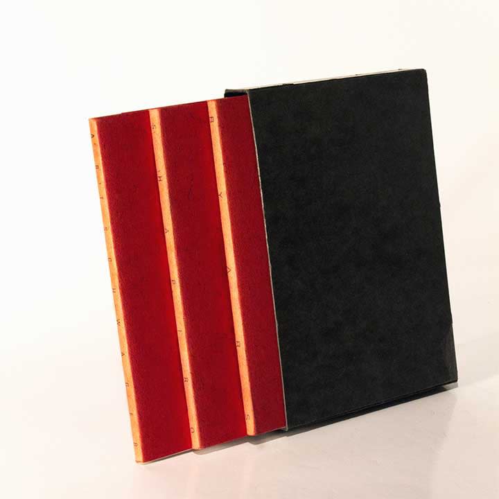 Artschwager/Shapiro/Byars publication, 1988. Works curated by D.K. Walla.