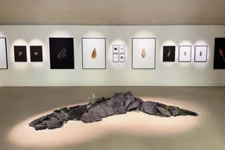 Victor Guerin, Cracks of Potential, 2024