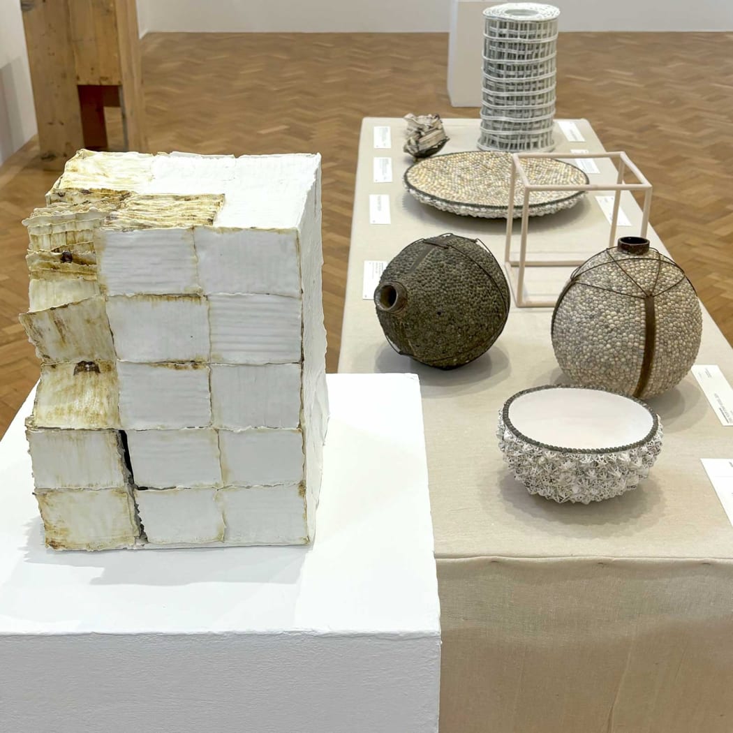 Installation in the Fermoy Gallery, on the plinth Hesston Long Gone 2024 by Kathryn Hearn, selection on the table by Carolyn Brookes-Davies, Caroline Chouler-Tisser, Kathryn Hearn and Jack Wheeler
