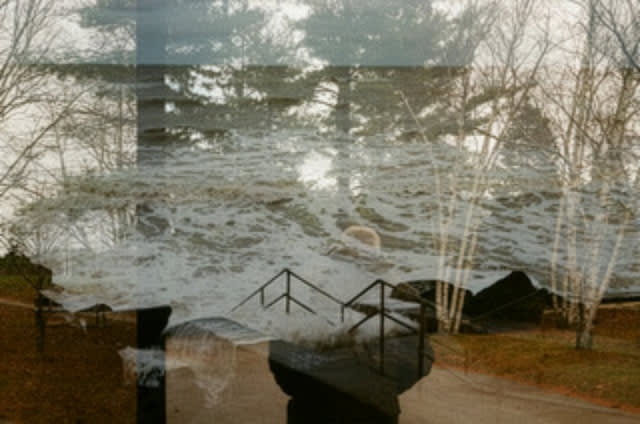 ONUS: photographs by Suzanne Reid