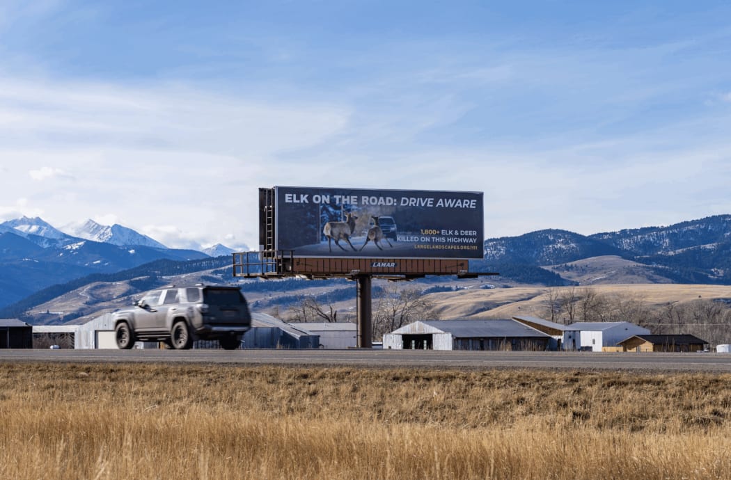 New U.S. 191 billboards warn drivers of crossing wildlife