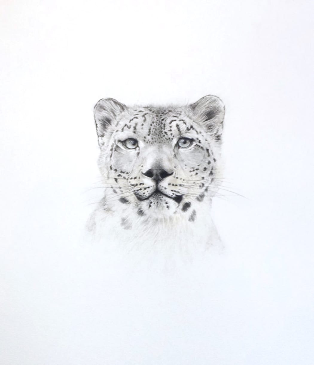 William Spring, Snow Leopard, watercolour on paper, 41 x 30 cms