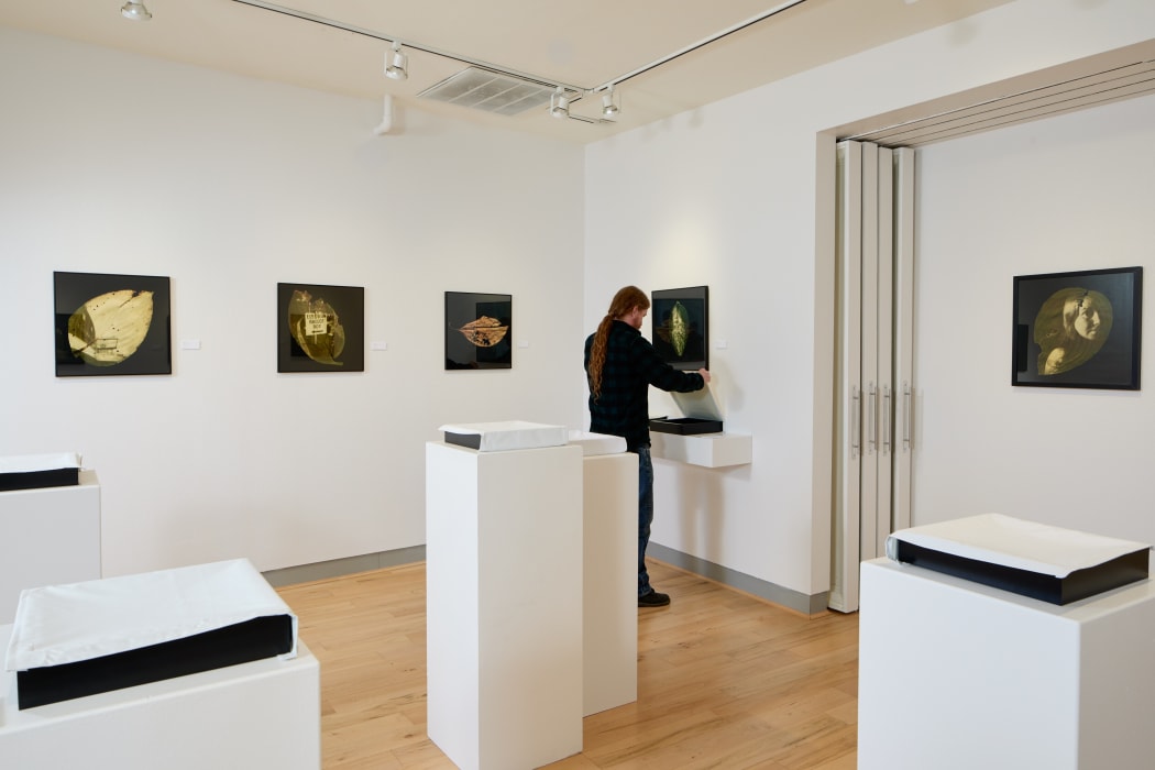 Installation view of Megan Bent's solo exhibition at Form & Concept.