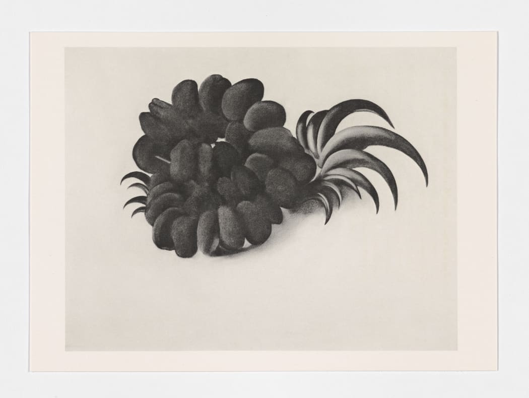 Georgia O'Keeffe, 'Eagle Claw and Bean Necklace', 1934, from 'Some Memories of Drawings', 1974 © Georgia O'Keeffe Museum/DACS, London 2021. Photo: Anna Arca