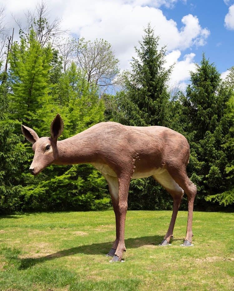 Tony Tasset, Deer, 2015, Collection of Gregg Rechler and Mitchell Rechler, Courtesy of the artist and Kavi Gupta, Chicago , Photo: Christopher E. Manning