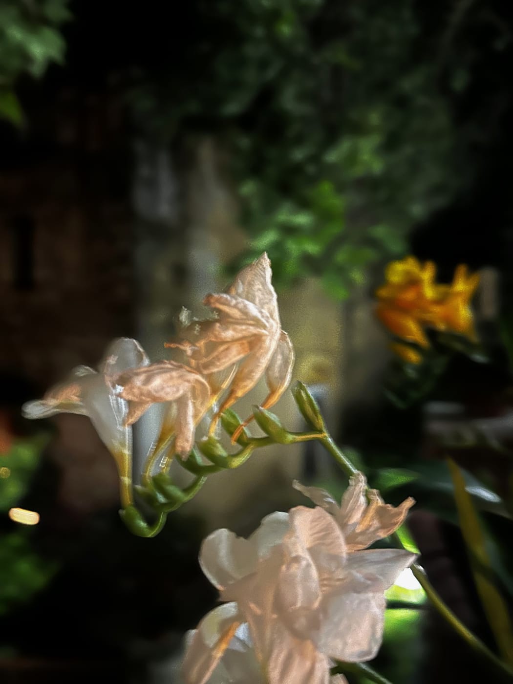Memories of Easter