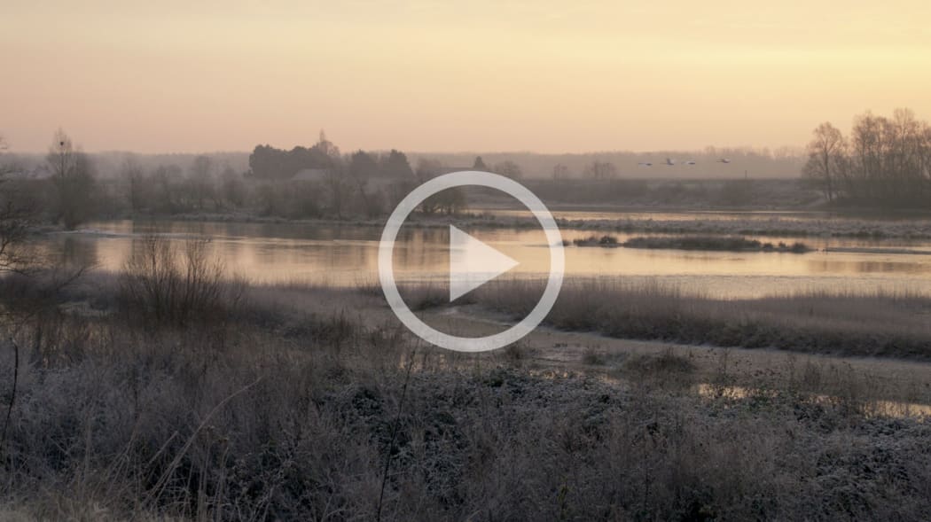 JEFFREY BLONDES | Loire River, Chouzy East - 12 Minute Film