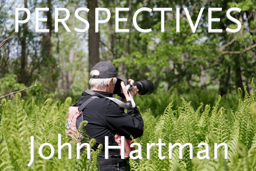 PERSPECTIVES: JOHN HARTMAN
