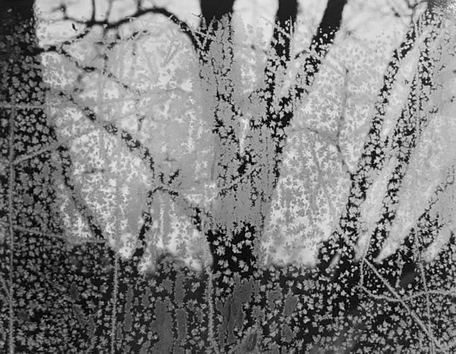 #1821 - Paul Caponigro