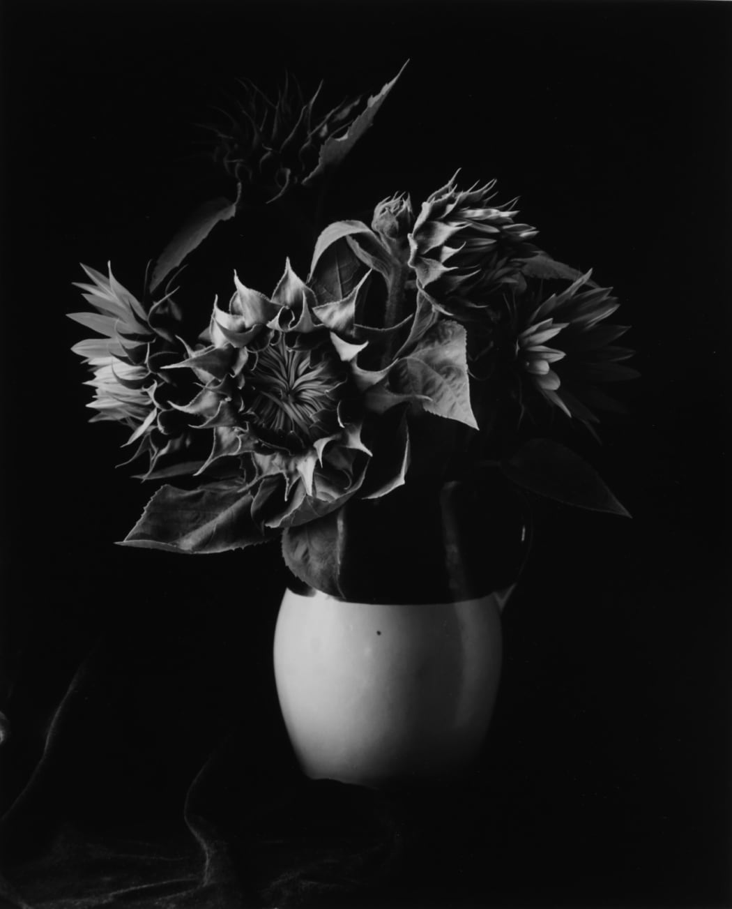 #1861 - Paul Caponigro