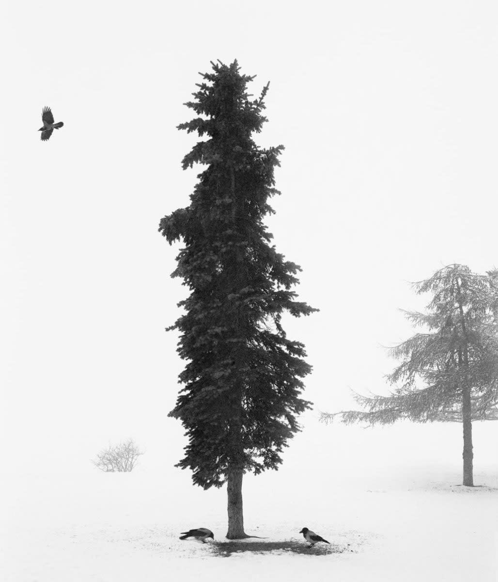 #834 - Pentti Sammallahti