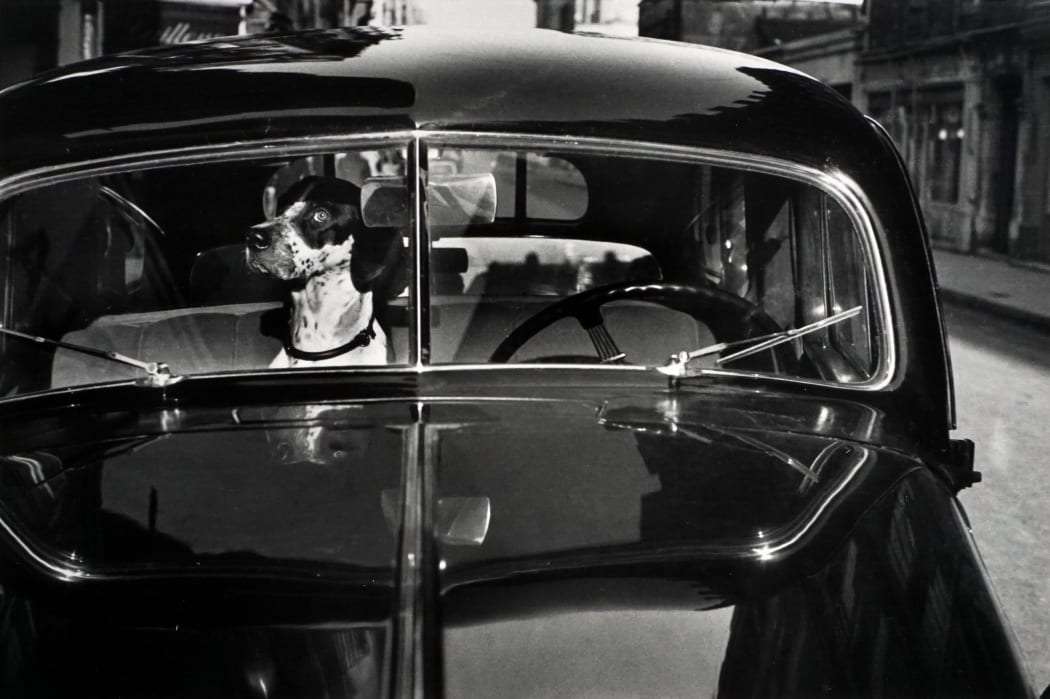 #1490 - Elliott Erwitt