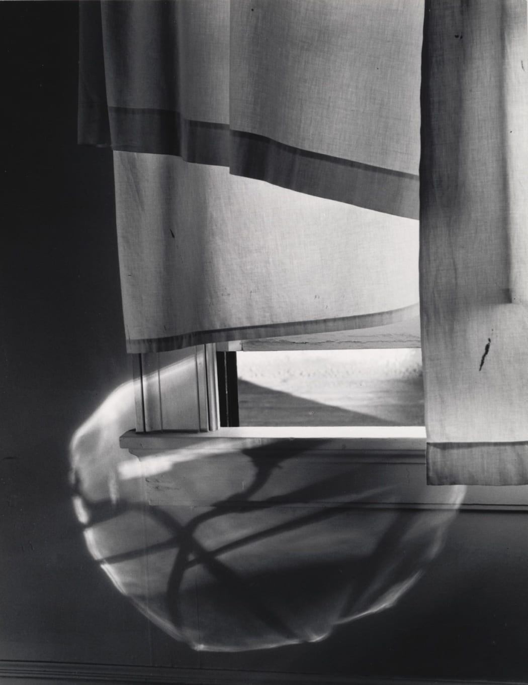 #1649 - Minor White 