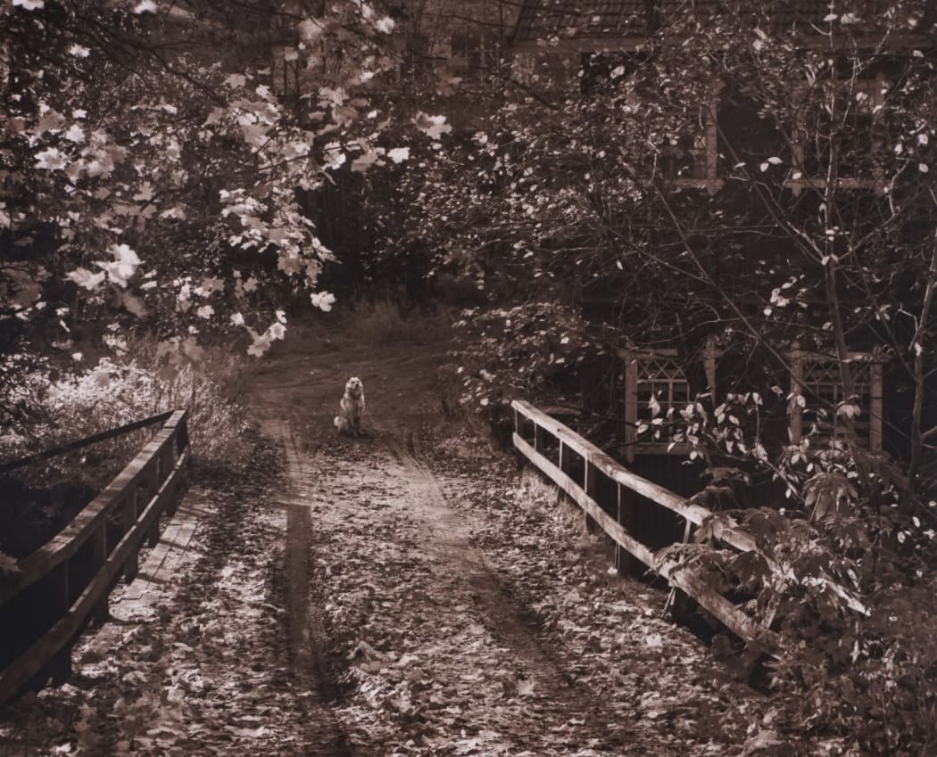 #1648 - Pentti Sammallahti