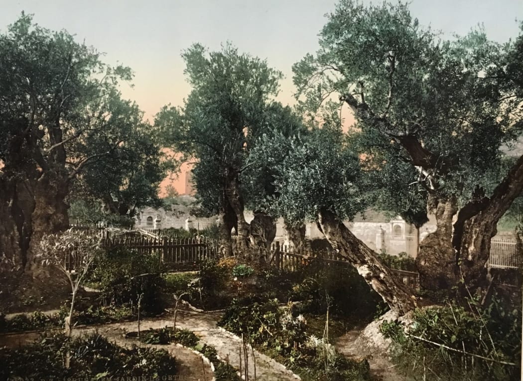 #1826 - Unidentified Photographer