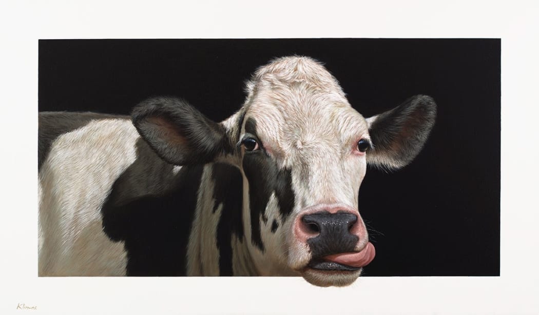 'Susan the Cow' by Alexandra Klimas – Oil on canvas, 70 x 120cm