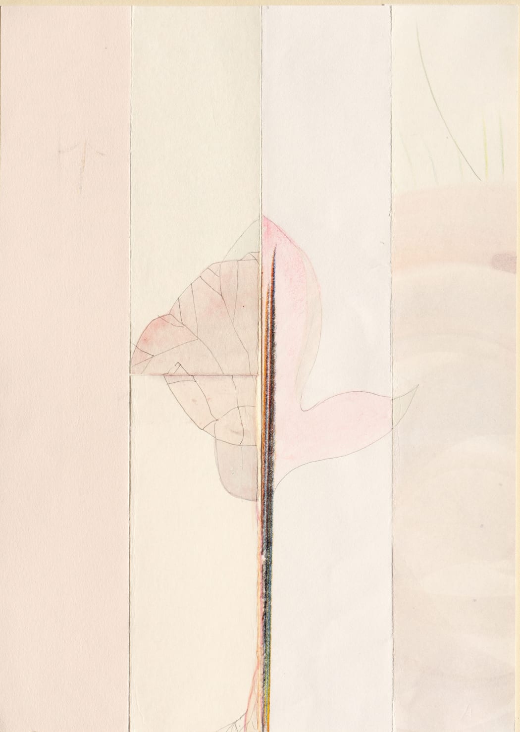 Season: Fictional Plant 26, 2020, Pencil and watercolor on assorted paper, 29.7 x 21 cm, Signed and dated (Unframed).