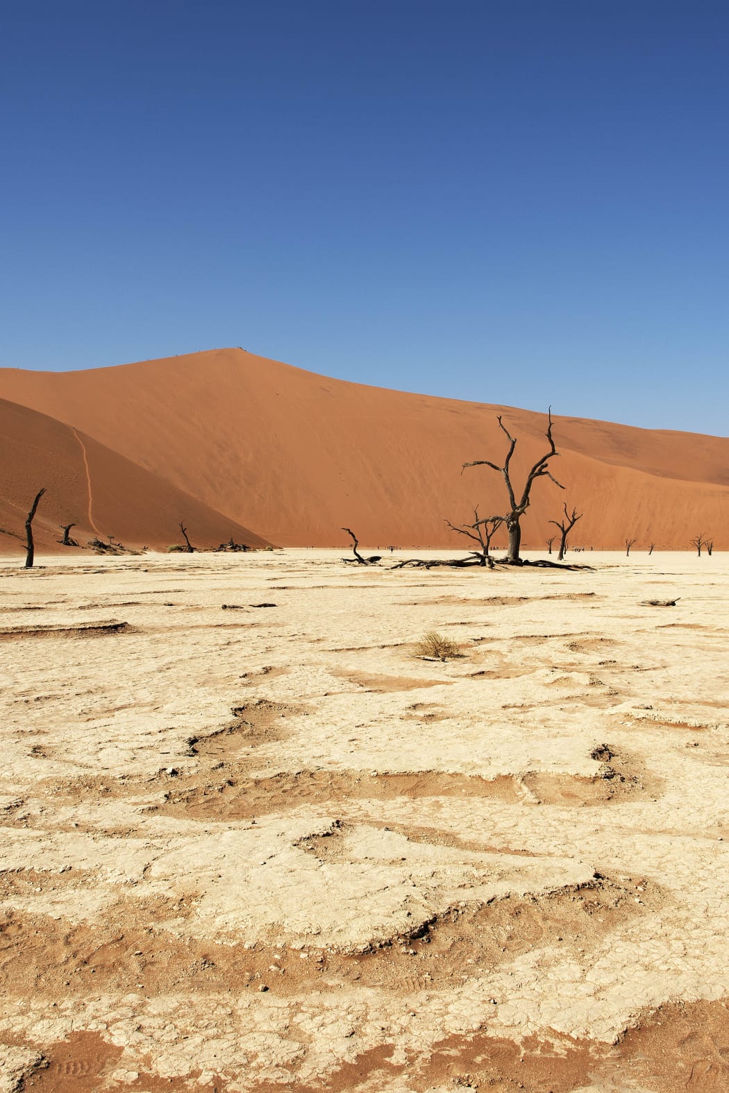 Karen Winnubst: terug naar Namibië