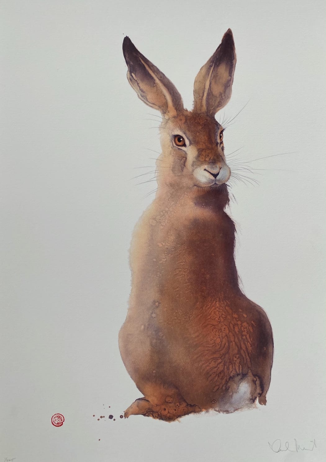 Field Hare by Karl Martens