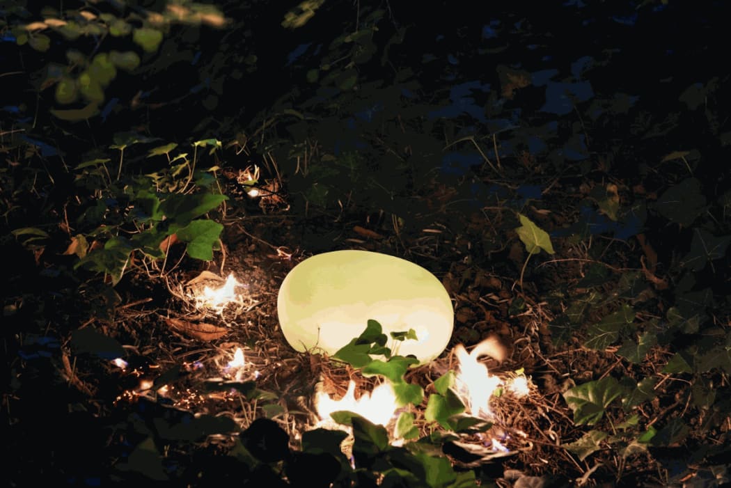 Rodrigo Braga, Presságio (Fulgor #03), 2025. Fotografia (impressão fine art sobre papel de algodão). 60 x 90 cm