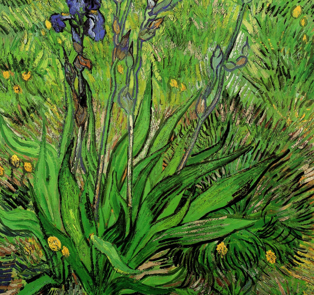 Vincent Van Gogh, Iris, now in the collection of the National Gallery of Canada