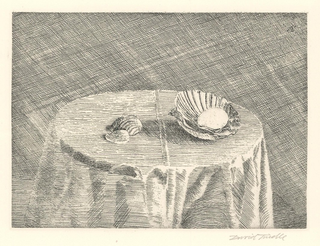 Shells, 1996