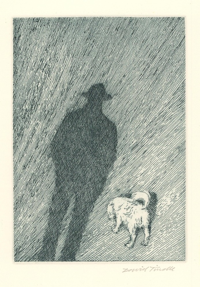 My Shadow and the Dog, 1996