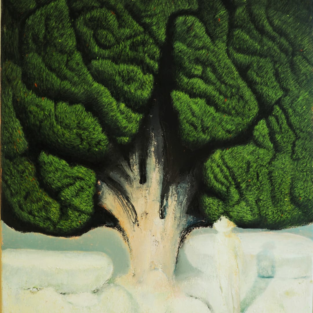 Radu Baies, Silent stones, The Giant Tree, 2024
