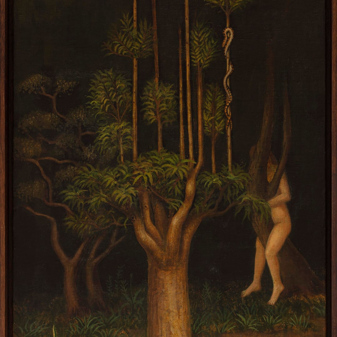 Moemi Yamamoto, Hadí strom / Snake Tree, 2024