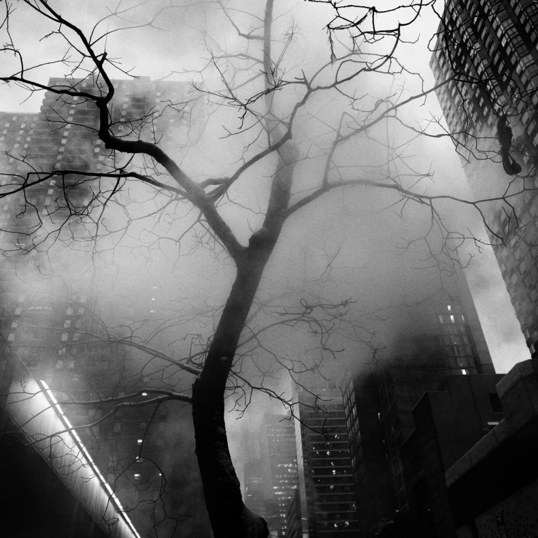 PHIL PENMAN, 42nd Street Project, Steam Tree New York, 2017
