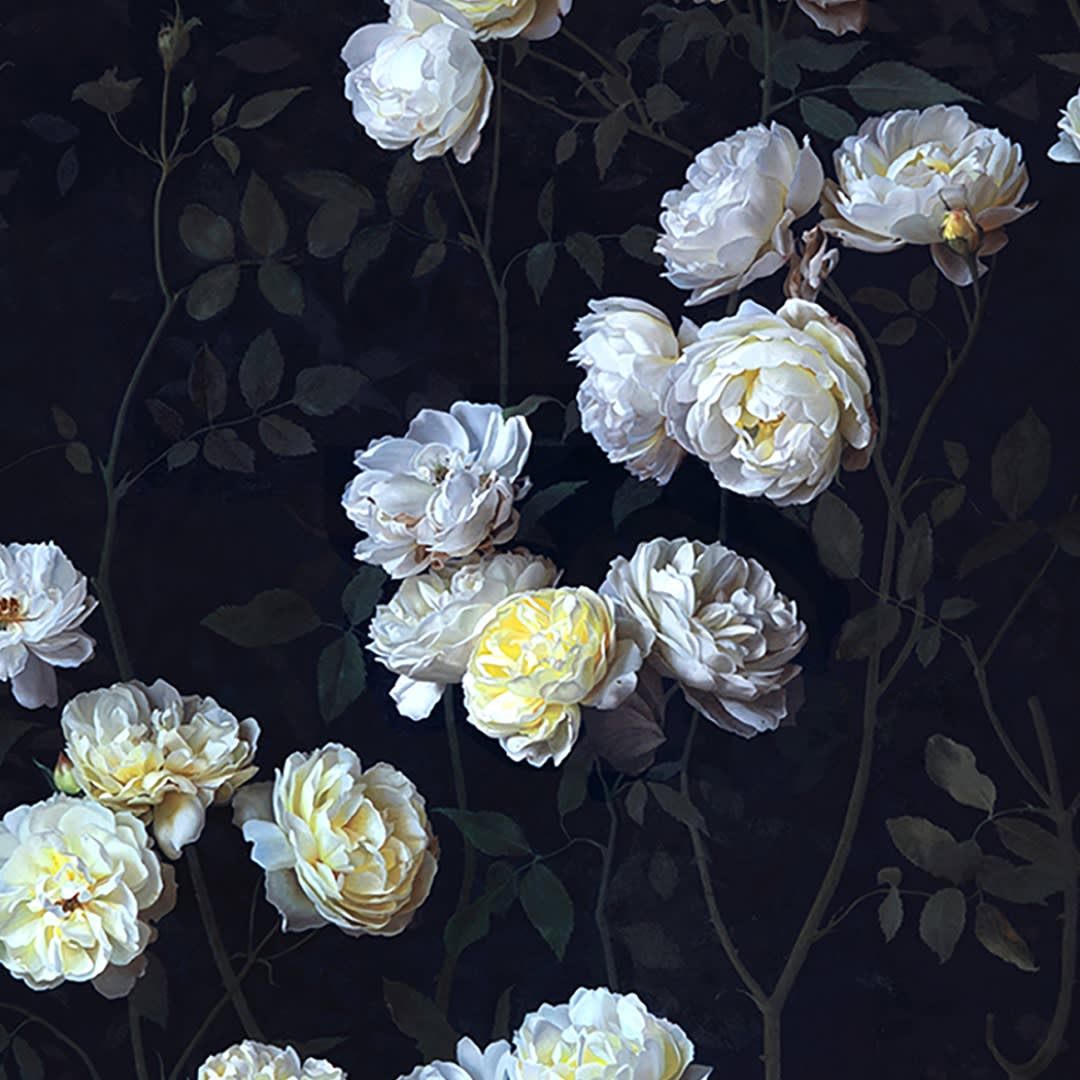 Jane Beharrell