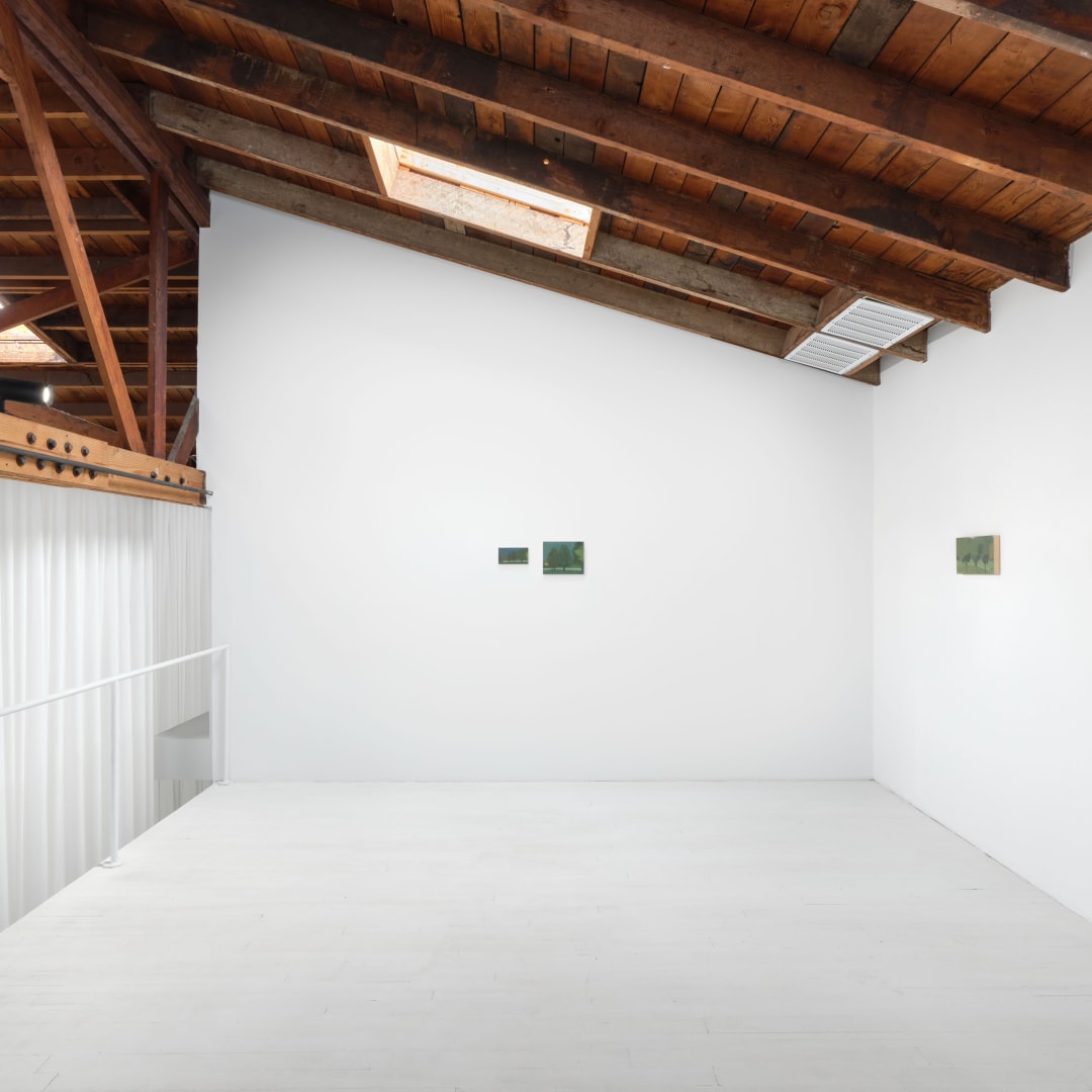 Laura Vahlberg, 'Trees Dream', at Vardan Gallery 2024.