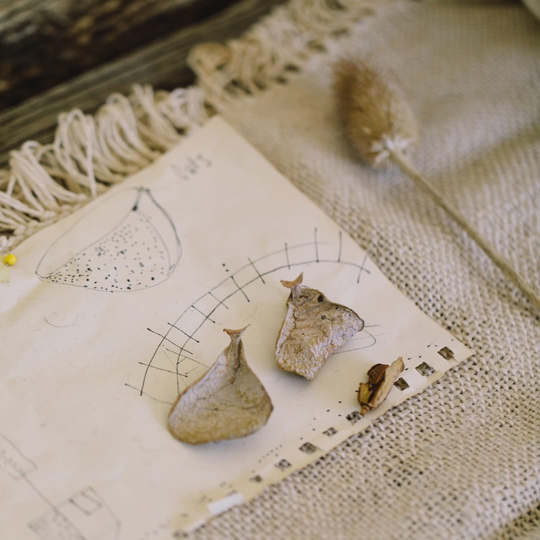 Frances Van Hasselt's designs