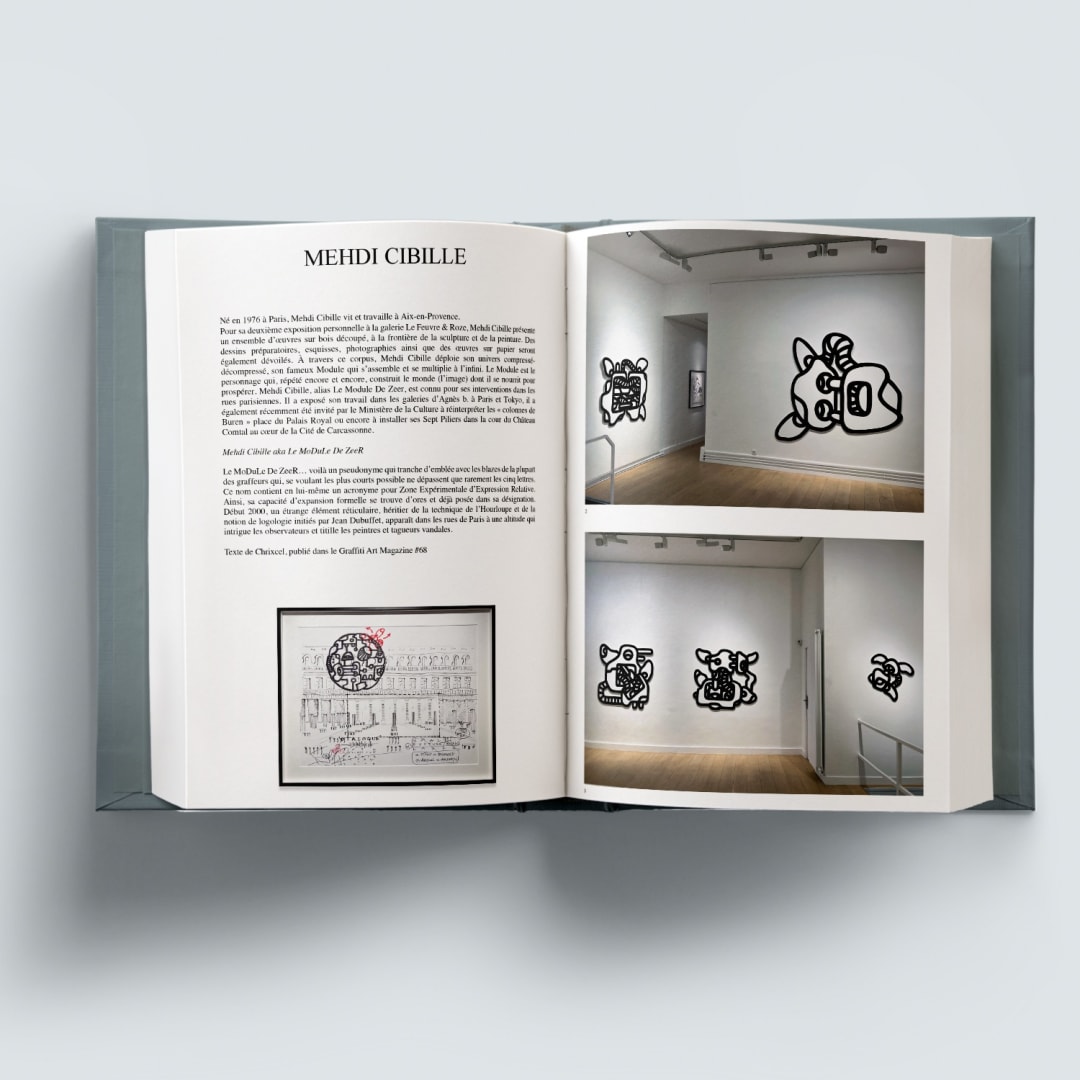 Le Feuvre & Roze Yearbook 2023, Mehdi Cibille, Le Module De Zeer
