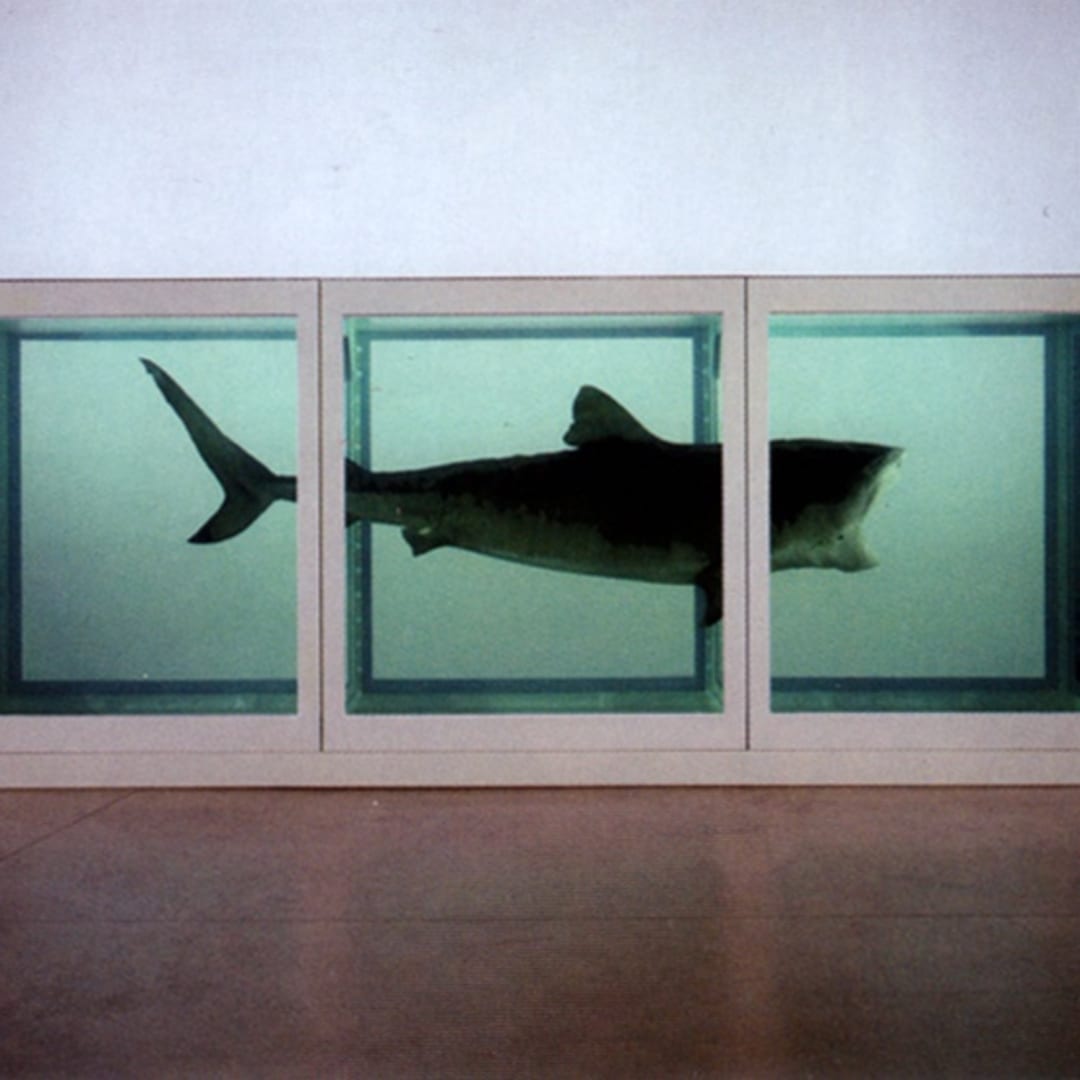 Damien Hirst The Physical Impossibility of Death in the Mind of Someone Living, 1991 Glass, painted steel, silicone, monofilament, shark and formaldehyde solution 85.5 x 213.4 x 70.9 in cc: dou_ble_you