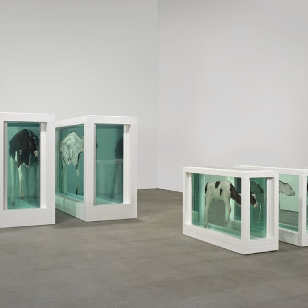 Damien Hirst Mother and Child Divided, 1993