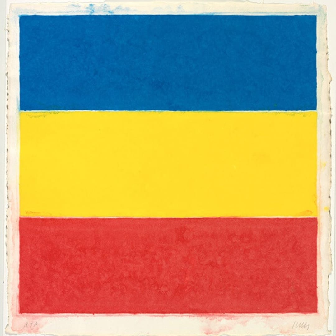 Ellsworth Kelly Colored Paper Image XVI, 1976 Pressed paper pulp in colors 32.5h X 31w in. Edition 23/24