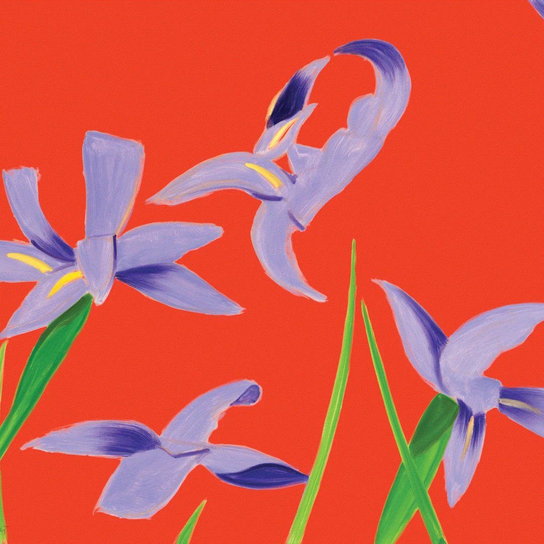 Alex Katz Purple Irises on Red, 2023 Archival pigment ink print, on Innova Etching Cotton Rag 315 gsm 24 x 30 Edition of 150 Available at VFA