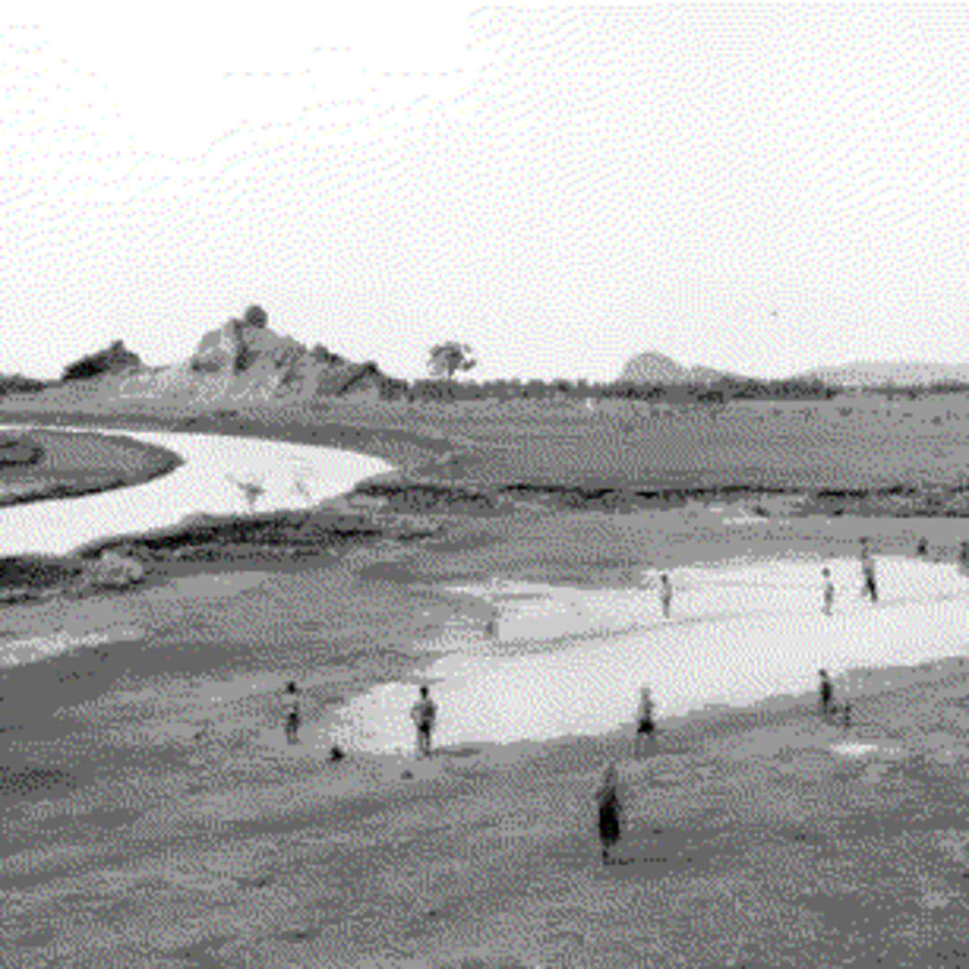 An-My Le TRANH-HOA, 1998 Silver Gelatin Print 16 x 20 ins 40.64 x 50.8 cm Available at VFA