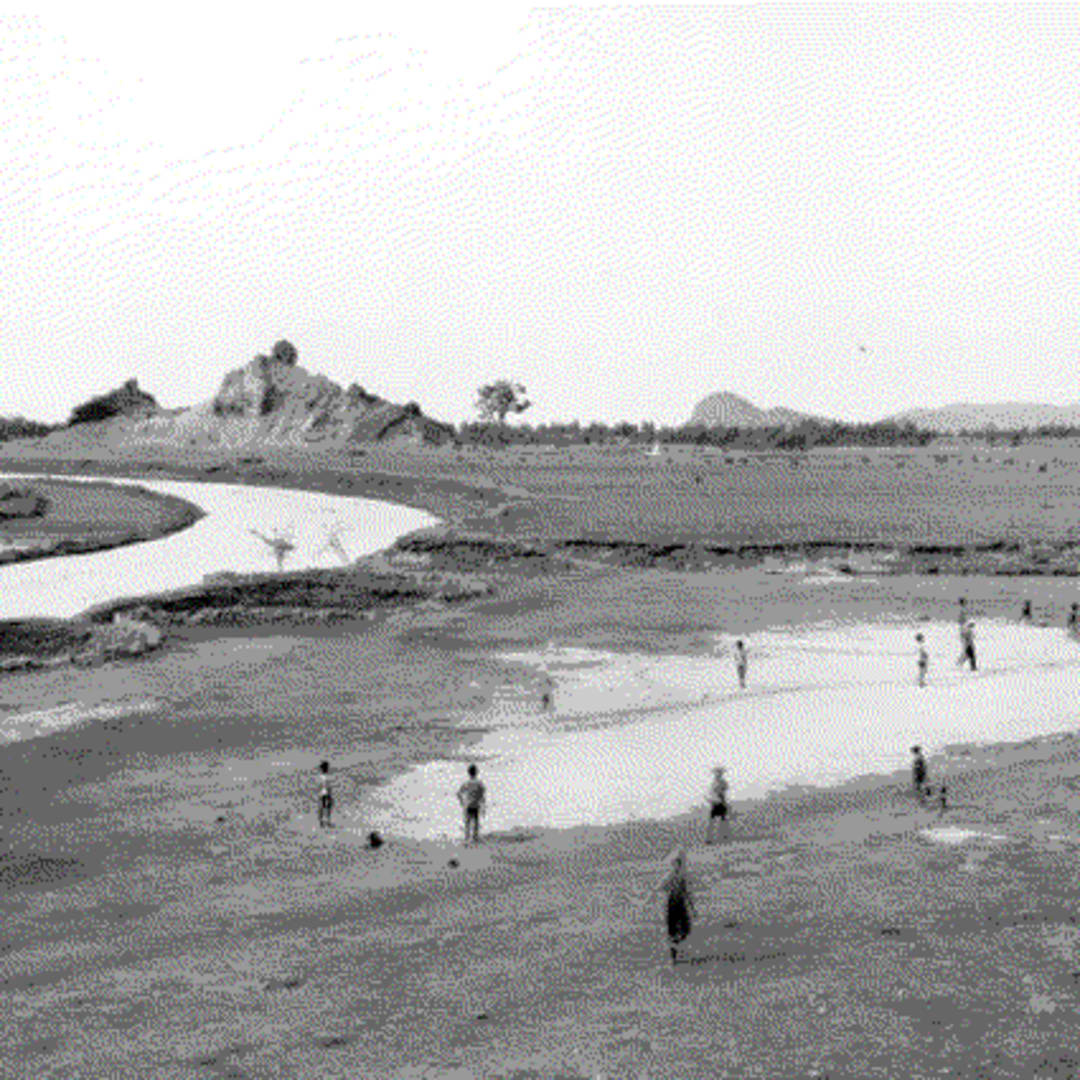 An-My Le TRANH-HOA, 1998 Silver Gelatin Print 16 x 20 ins 40.64 x 50.8 cm Available at VFA