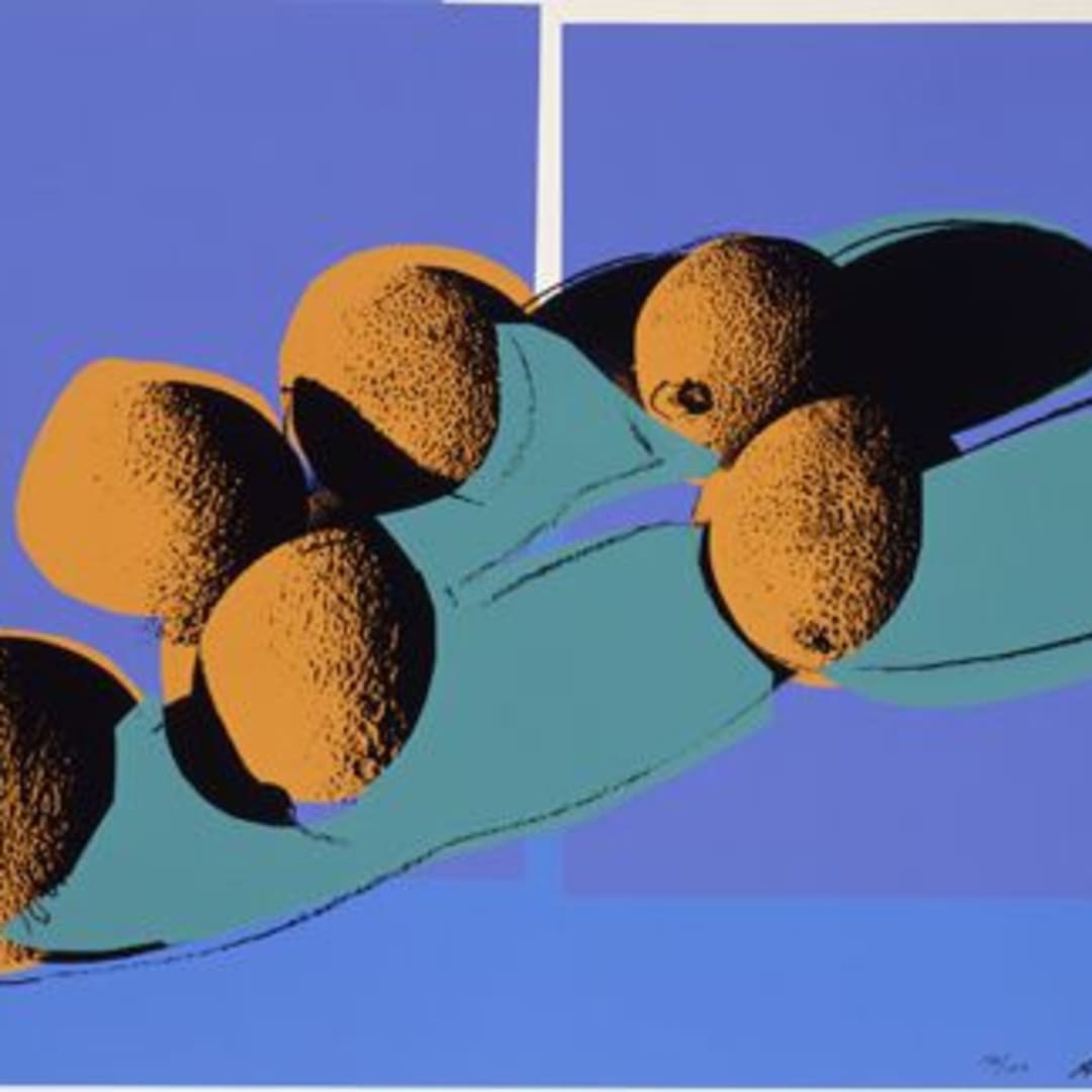 Andy Warhol Space Fruit-Cantaloupes (F&S II.201) 1979 Screenprint on Lenox Museum Board 30 X 40 in. Edition of 150 + 30 in Roman Numerals