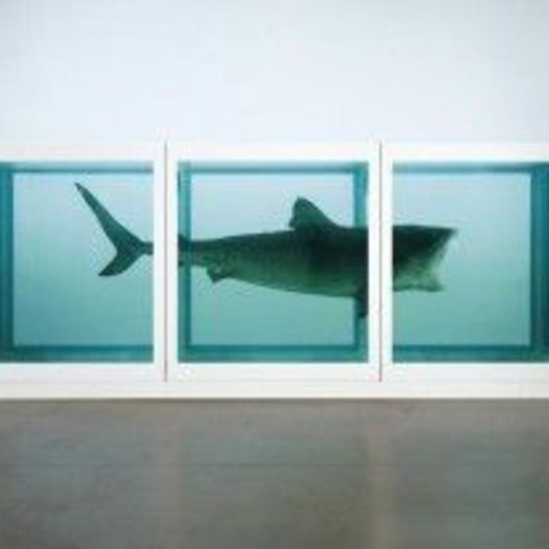 Damien Hirst The Physical Impossibility of Death in the Mind of Someone Living, 1991 Glass, painted steel, silicone, monofilament, shark and formaldehyde solution 85.5 x 213.4 x 70.9 in